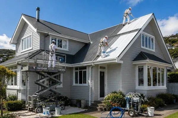 Professional roof painting in Wellington